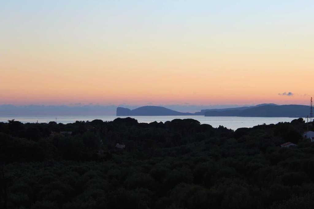 Villa Boeddu, Relax Tra Mare E Campagna 알게로 외부 사진